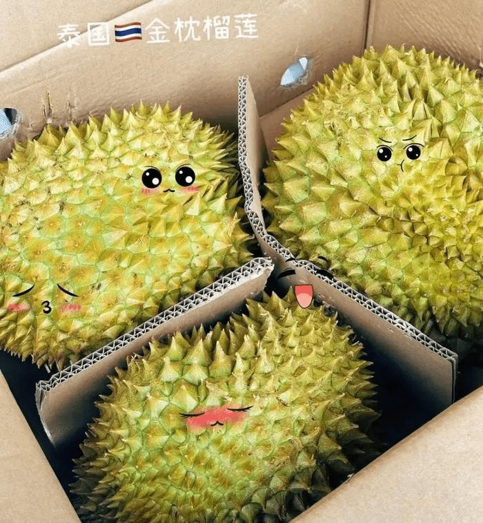 泰国金枕。